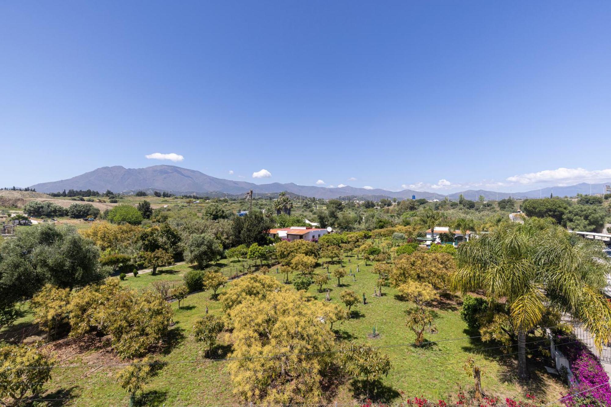 Hostal Puerta Almar Estepona Dış mekan fotoğraf